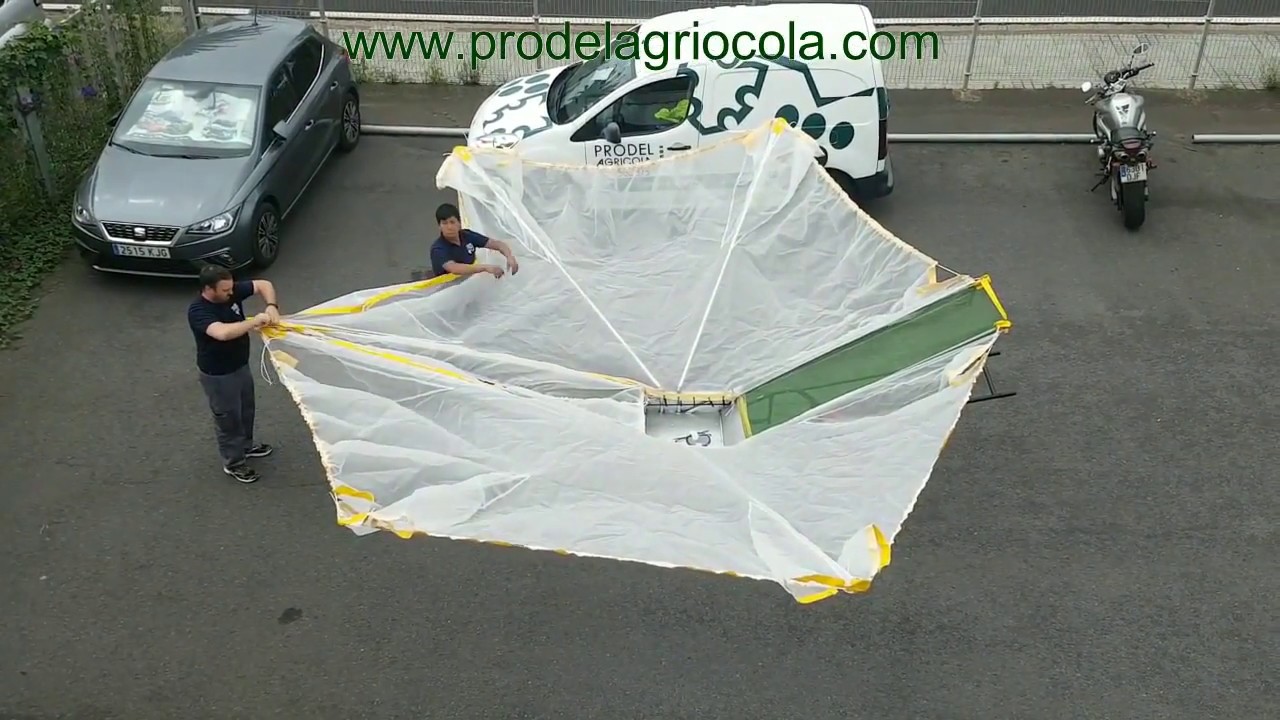 Paraguas aceitunas -