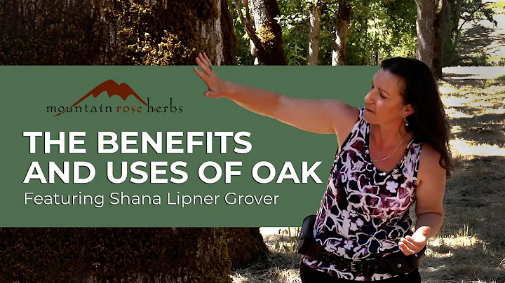 The Benefits and Uses of Oak | Featuring Shana Lip...