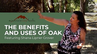 The Benefits and Uses of Oak | Featuring Shana Lipner Grover