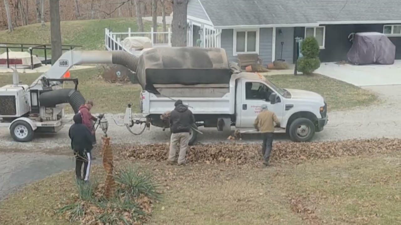 Leaf collection continues.🍁 Part 2.