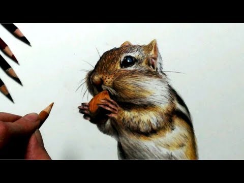 色鉛筆でリスを描いてみた Realistic Colored Pencil Drawing Of A Squirrel Youtube