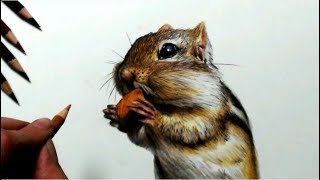 色鉛筆でリスを描いてみた Draw A Realistic Squirrel Youtube