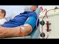 Как на самом деле сдается кровь? Донорство: мифы и предрассудки