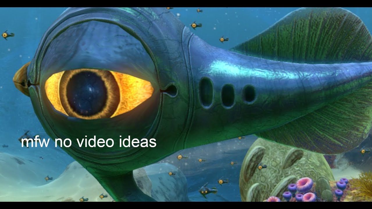 A Very Boring 1,000 Sub Special