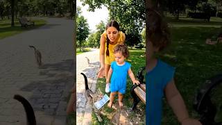 Bu Minik Bebek Kedi Dostu Mamasını Kiminle Paylaşacak Sence?