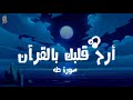 أرح سمعك تلاوة هادئة تريح القلب والعقل سورة طه القارئ شريف مصطفى 