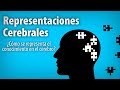 ¿Cómo representa el conocimiento tu cerebro ? - Representaciones Mentales