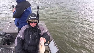 Dad Pymatuning Walleye