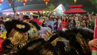 Soaring Phoenix At Chua 2019 Nye