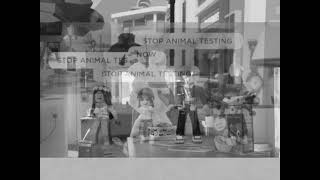 STOP ANIMAL TESTING || PLEASE SPREAD THIS AWARENESS Content
