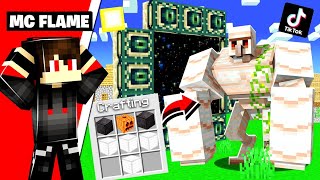 Testing Viral Minecraft TIKTOK HACKS that Actually Work screenshot 3