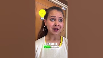 The House Collapsed But I Saved My Dogs😱#Catsoftiktok#CatLovers #cat #cute #FunnyCats#catcartoon#fyp