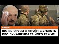 😳 Білорусь ОКУПОВАНА Росією - що білоруси в Україні думають про Лукашенка та його режим