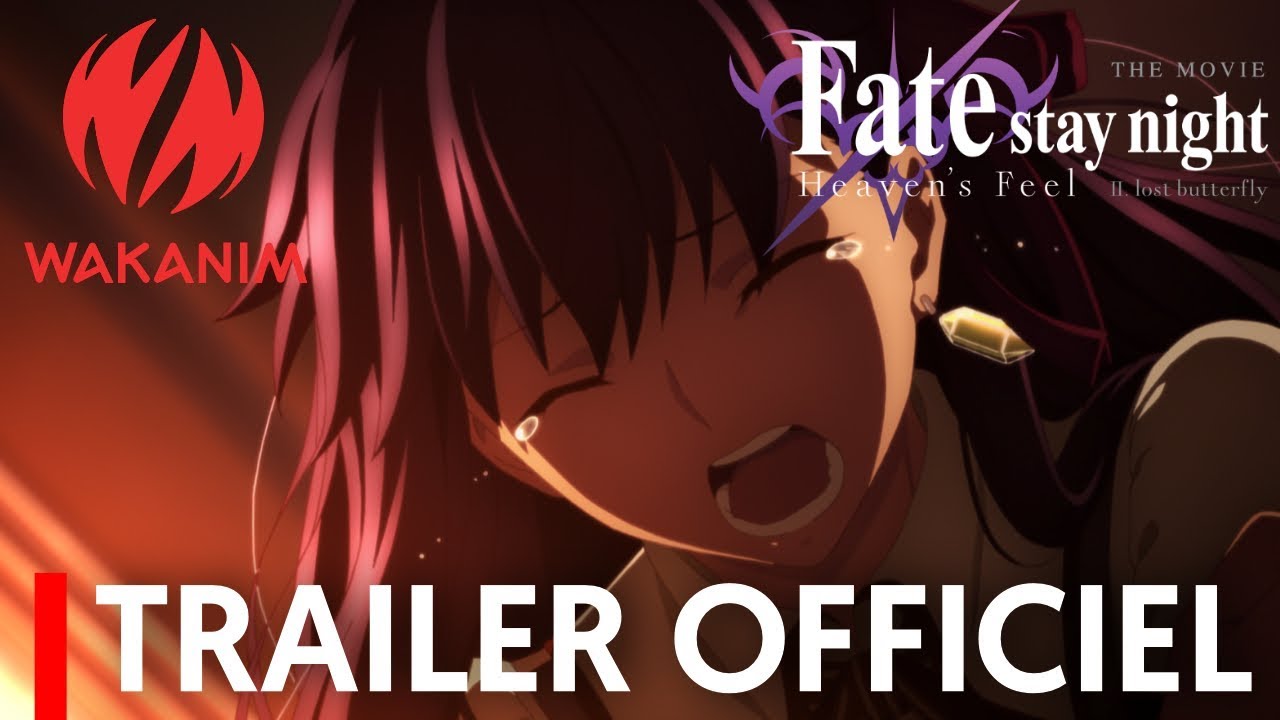 Is Movie Fatestay night Heavens Feel II Lost Butterfly 2019 streaming  on Netflix