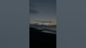 قران كريم بصوت القارئ اسلام صبحي ☁️🌾 #قران #اكسبلور