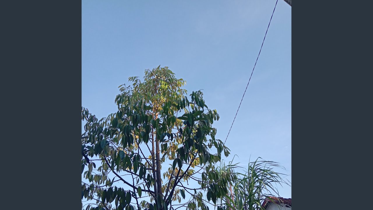 Jalan tertatih