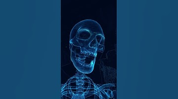 "X-Ray Skeleton Dance Effect | AI 3D Animation | Neon Style Video 2025"#SkeletonEffect #AIedit