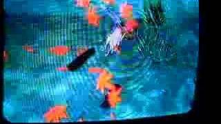 Okami Glitch: Missing Dogs!
