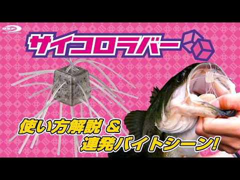 サイコロラバー　3セット