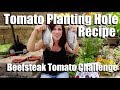 Growing Large Tomatoes: Tomato Planting Hole Recipe, Sub Irrigation // Beefsteak Tomato Challenge #2