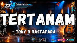 TERTANAM - TONY Q RASTAFARA DRUM & BASS ONLY