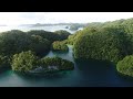 view Orchids: Preserving the Jewels of Palau digital asset number 1