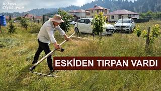 Tirpanla Bi̇r Günde 5 Dönüm Buğday(Eki̇n) Bi̇çen Babamin Hatiralari Geçmi̇şe Yolculuk