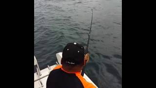 Tour de Pesca Panama Bay Tours & Fishing 4