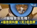 貓糧食安危機? 4貓換飼料釀「1死2低血鉀」｜TVBS新聞 @TVBSNEWS02