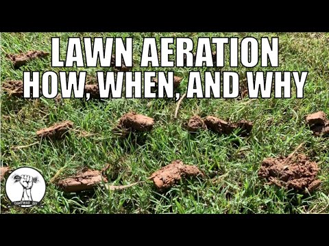 How to Aerate a Lawn - How, Why, and When to Aerate - Lawn Aeration