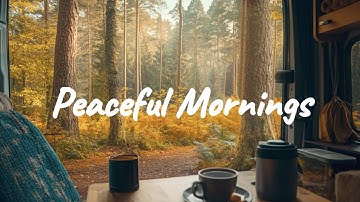Peaceful Mornings☀️✨ | Chill Acoustic, Indie Folk, Lofi beats to wake up to & get ready for the day