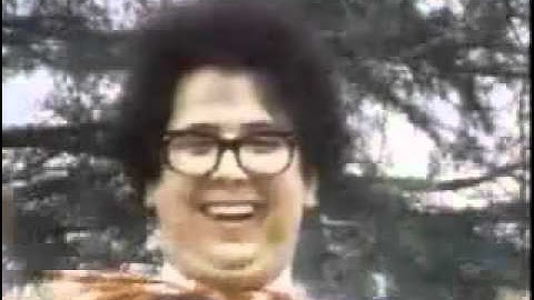 The Turtles - Happy Together (1967)