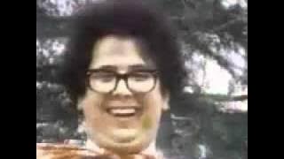 The Turtles - Happy Together (1967)