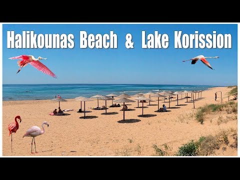 Video: Onko kavos korfussa?