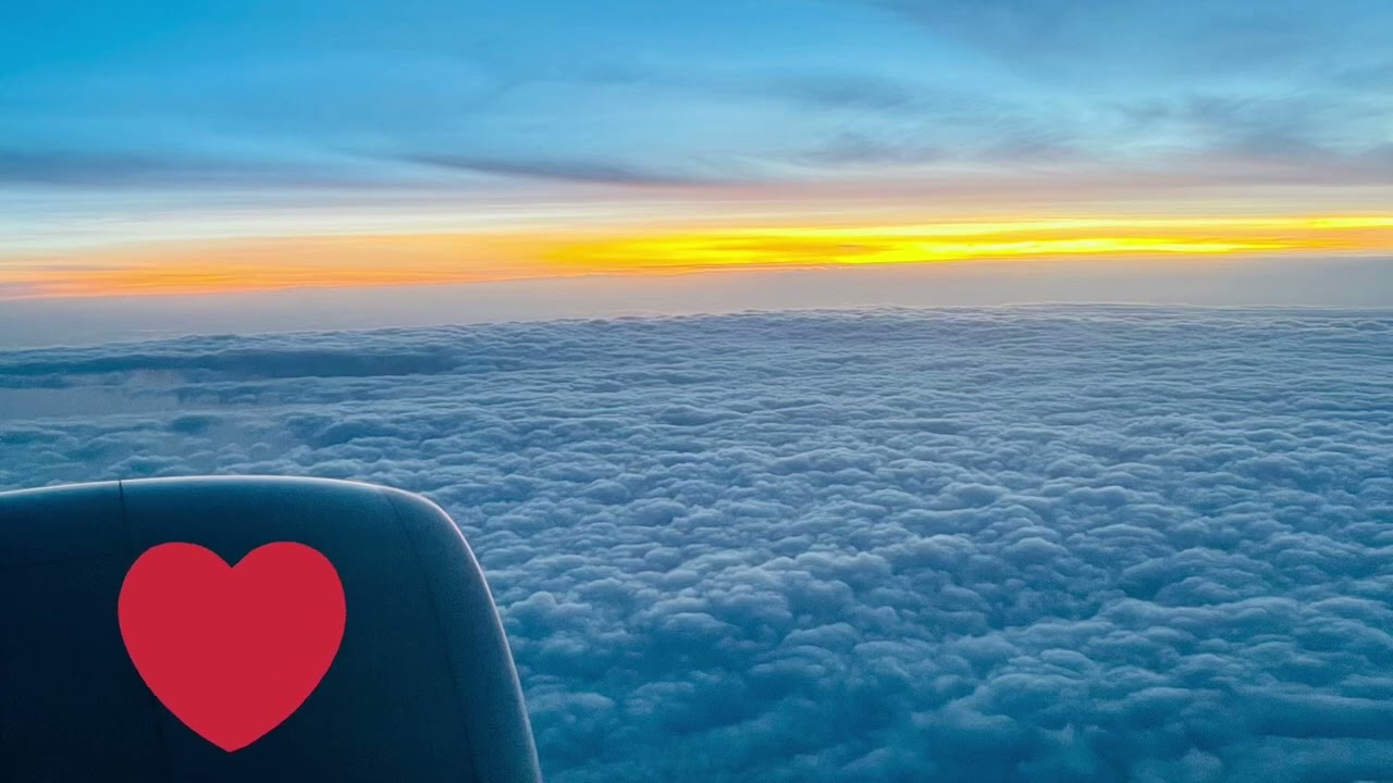 No Copyright For You - YOU’RE MY LOVE OF MY LIFE by Acki Irvine 🎶 