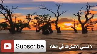 تعلم الوضع الفرنسي اثناء العلاقة