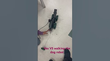 Vex V5 walking the dog robot 2023