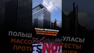 Массовые протесты против украинцев в Польше #польша #новости #украина #мигранты #беженцы #протесты