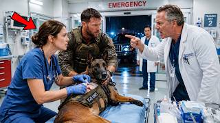 They Fired a Nurse for Saving a Military K9… Then Navy SEALs Stormed the Hospital