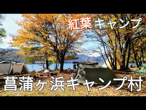 【ソロキャンプ】🍁紅葉を満喫する湖畔キャンプ【菖蒲ヶ浜キャンプ村】