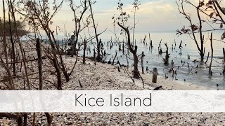 Hunting shells at low tide. Kayaking to an island to find sea shells and beach treasures.