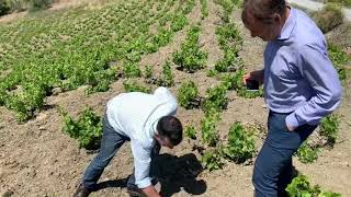 Visita a la Axarquía Malagueña con Juan Muñoz Gerente de Bodegas Dimobe