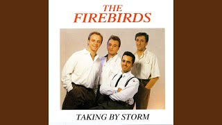 Video voorbeeld van "The Firebirds - Run Around Sue"