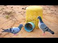 DIY Bird Trap | How to Make DIY Bird Trap | Smart DIY Bird Trap