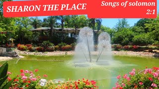 Hot Summer in Israel. Let's visit the Plain of Sharon . Songs of Solomon 2:1 ROSE OF SHARON