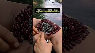 Смесь, которую боялись показывать по ТВ — помогает от суставов, бородавок и даже облысения #здоровье
