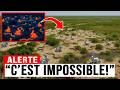 La Floride a fait l’IMPOSSIBLE… Les pythons sont-ils FINIS ?