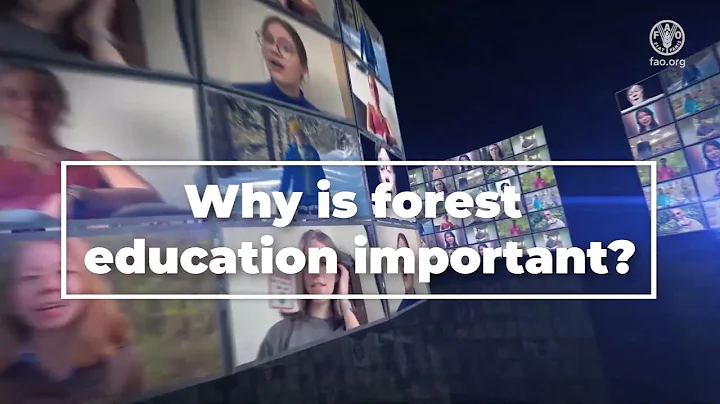 Why is forest education important? - DayDayNews