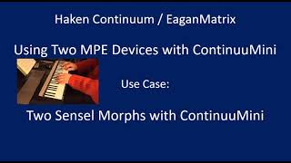 Celebrity Haken Continuum/EaganMatrix Using Two Sensel Morphs with ContinuuMini Wealth