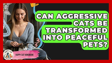Can Aggressive Cats Be Transformed Into Peaceful Pets? - Happy Cat Handbook